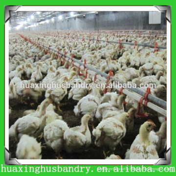 Reasonable design system for broiler chicken/broiler chicken breeding machine